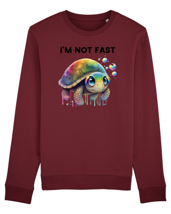 Broasca testoasa pictata in acuarela cu mesajul I'm not fast Burgundy