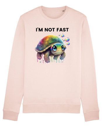 Broasca testoasa pictata in acuarela cu mesajul I'm not fast Candy Pink