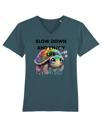 Broasca testoasa pictata in acuarela cu mesajul  Slow Down and Enjoy Life Stargazer