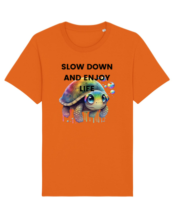 Broasca testoasa pictata in acuarela cu mesajul  Slow Down and Enjoy Life Bright Orange