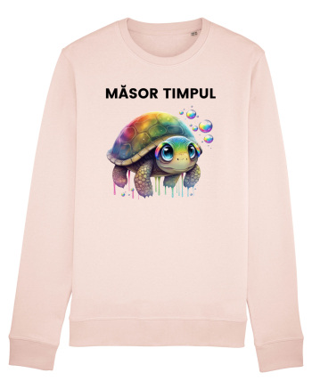 Broasca testoasa pictata in acuarela cu mesajul  Masot Timpul Candy Pink