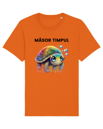 Broasca testoasa pictata in acuarela cu mesajul  Masot Timpul Bright Orange