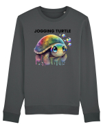Broasca testoasa pictata in acuarela cu mesajul Jogging Turtle Bluză mânecă lungă Unisex Rise