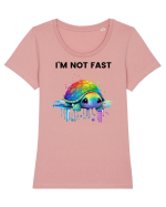 Broasca testoasa pictata in acuarela cu mesajul  Tricou mânecă scurtă guler larg fitted Damă Expresser