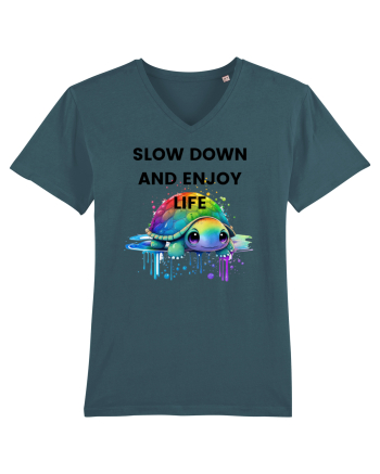 Broasca testoasa pictata in acuarela cu mesajul  Slow Down and Enjoy Life Stargazer