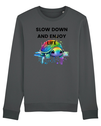 Broasca testoasa pictata in acuarela cu mesajul  Slow Down and Enjoy Life Anthracite