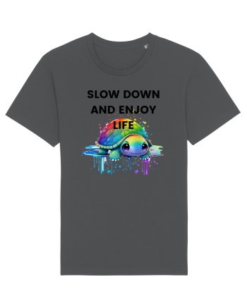 Broasca testoasa pictata in acuarela cu mesajul  Slow Down and Enjoy Life Anthracite