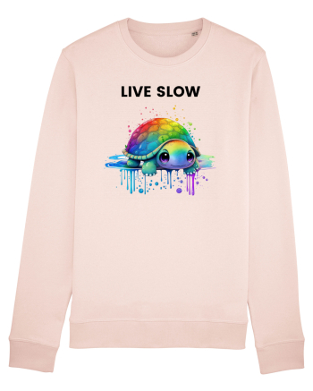 Broasca testoasa pictata in acuarela cu mesajul Live Slow Candy Pink