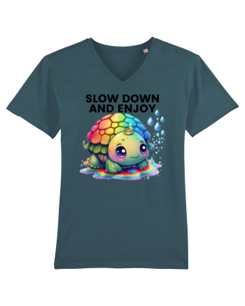 Broasca testoasa pictata in acuarela cu mesajul  Slow Down and Enjoy Life Stargazer