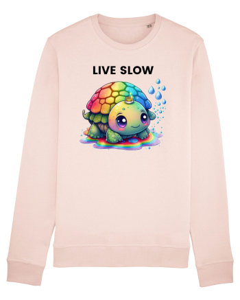 Broasca testoasa pictata in acuarela cu mesajul Live Slow Candy Pink