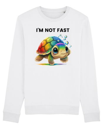 Broasca testoasa pictata in acuarela cu mesajul   I'm not fast White