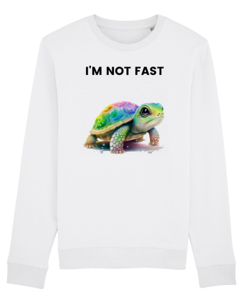 Broasca testoasa pictata in acuarela cu mesajul   I'm not fast White