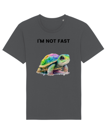 Broasca testoasa pictata in acuarela cu mesajul   I'm not fast Anthracite