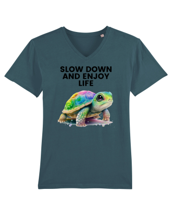 Broasca testoasa pictata in acuarela cu mesajul  Slow Down and Enjoy Life Stargazer