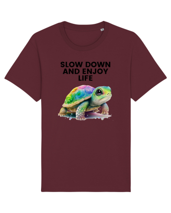Broasca testoasa pictata in acuarela cu mesajul  Slow Down and Enjoy Life Burgundy