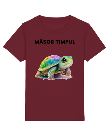 Broasca testoasa pictata in acuarela cu mesajul  Masor Timpul Burgundy