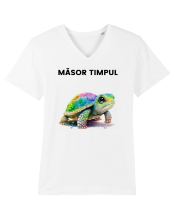 Broasca testoasa pictata in acuarela cu mesajul  Masor Timpul White