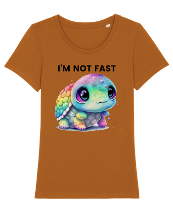 Broasca testoasa pictata in acuarela cu mesajul I'm not fast Roasted Orange