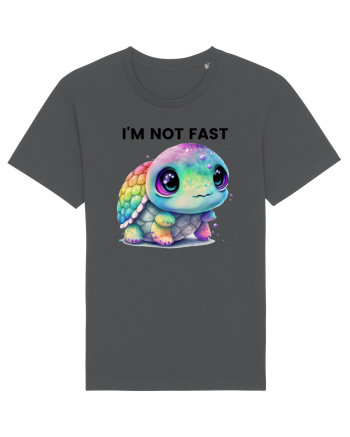 Broasca testoasa pictata in acuarela cu mesajul I'm not fast Anthracite