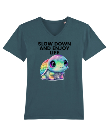 Broasca testoasa pictata in acuarela cu mesajul  Slow Down and Enjoy Life Stargazer
