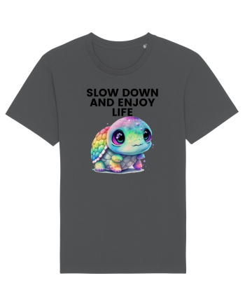 Broasca testoasa pictata in acuarela cu mesajul  Slow Down and Enjoy Life Anthracite