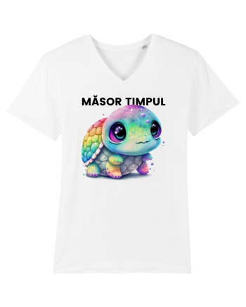 Broasca testoasa pictata in acuarela cu mesajul  Masor Timpul White