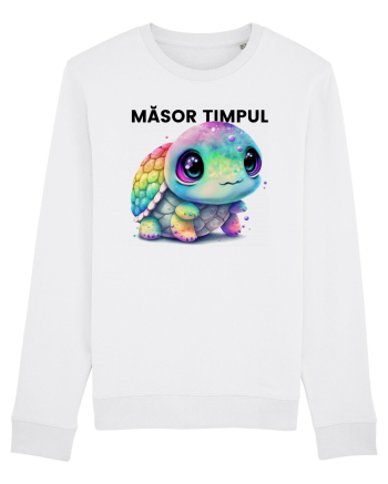 Broasca testoasa pictata in acuarela cu mesajul  Masor Timpul White