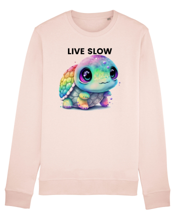 Broasca testoasa pictata in acuarela cu mesajul Live Slow Candy Pink