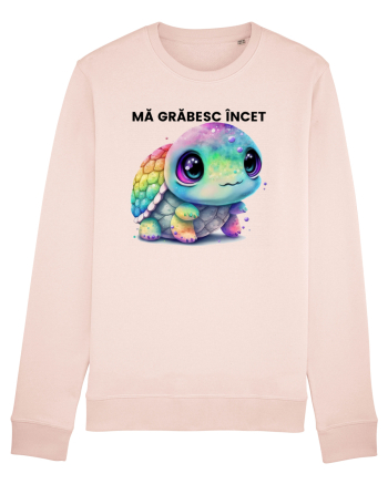 Broasca testoasa pictata in acuarela cu mesajul Ma grabesc Incet Candy Pink
