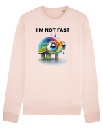 Broasca testoasa pictata in acuarela cu mesajul I'm not fast Bluză mânecă lungă Unisex Rise