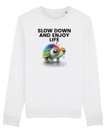 Broasca testoasa pictata in acuarela cu mesajul  Slow Down and Enjoy Life Bluză mânecă lungă Unisex Rise