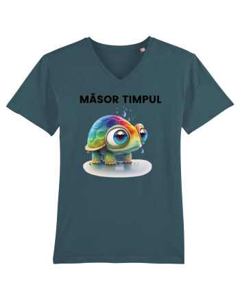Broasca testoasa pictata in acuarela cu mesajul  Masor Timpul Stargazer