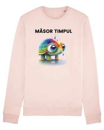 Broasca testoasa pictata in acuarela cu mesajul  Masor Timpul Candy Pink