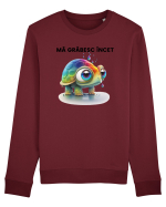 Broasca testoasa pictata in acuarela cu mesajul Ma grabesc Incet Bluză mânecă lungă Unisex Rise