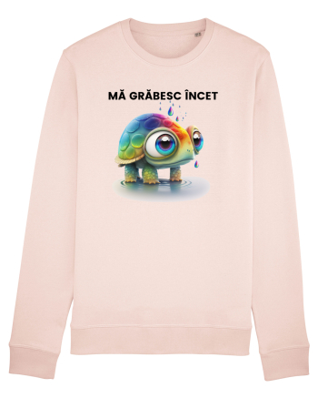 Broasca testoasa pictata in acuarela cu mesajul Ma grabesc Incet Candy Pink