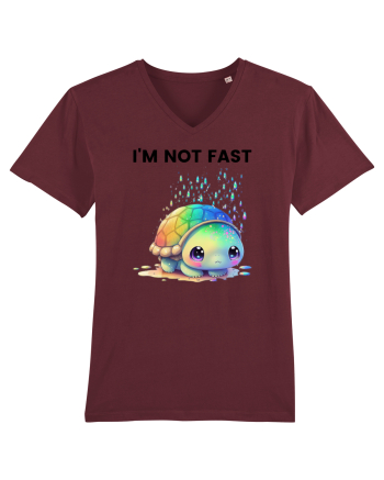 Broasca testoasa pictata in acuarela cu mesajul I'm not fast Burgundy