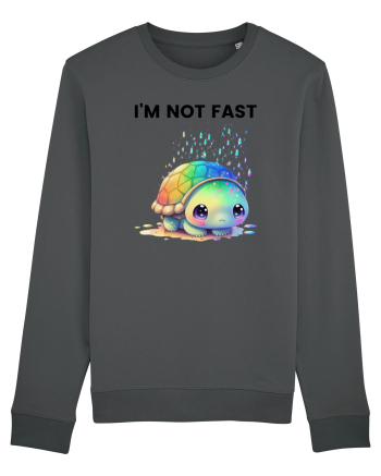 Broasca testoasa pictata in acuarela cu mesajul I'm not fast Anthracite