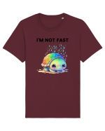Broasca testoasa pictata in acuarela cu mesajul I'm not fast Tricou mânecă scurtă Unisex Rocker