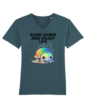 Broasca testoasa pictata in acuarela cu mesajul  Slow Down and Enjoy Life Stargazer