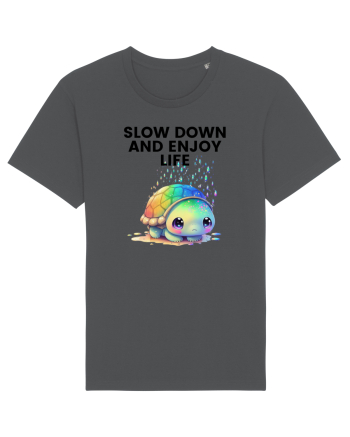 Broasca testoasa pictata in acuarela cu mesajul  Slow Down and Enjoy Life Anthracite
