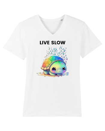 Broasca testoasa pictata in acuarela cu mesajul Live Slow White