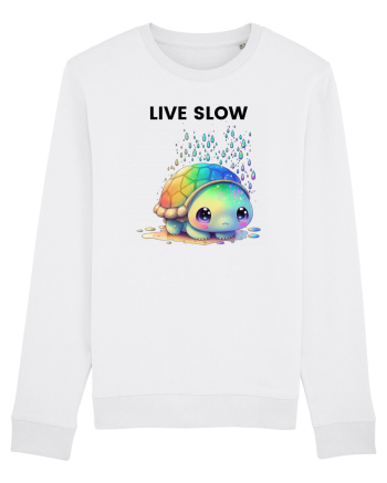 Broasca testoasa pictata in acuarela cu mesajul Live Slow White