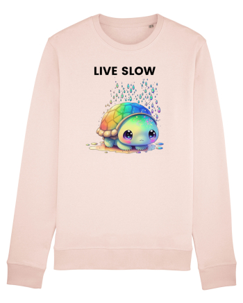 Broasca testoasa pictata in acuarela cu mesajul Live Slow Candy Pink