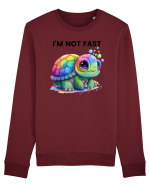 Broasca testoasa pictata in acuarela cu mesajul I'm not fast Bluză mânecă lungă Unisex Rise