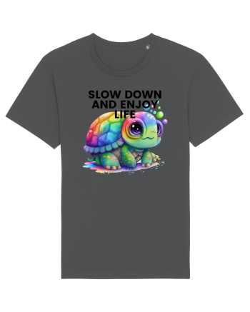 Broasca testoasa pictata in acuarela cu mesajul  Slow Down and Enjoy Life Anthracite