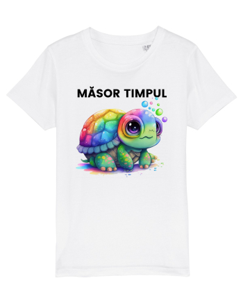 Broasca testoasa pictata in acuarela cu mesajul  Masor Timpul White