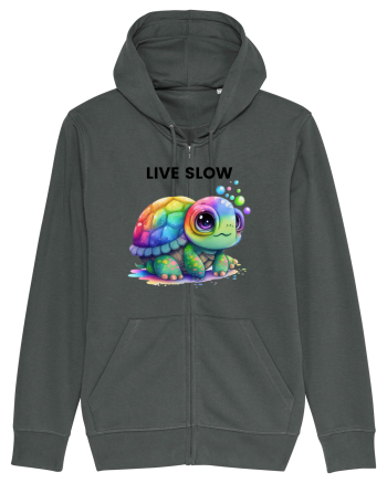 Broasca testoasa pictata in acuarela cu mesajul Live Slow Anthracite