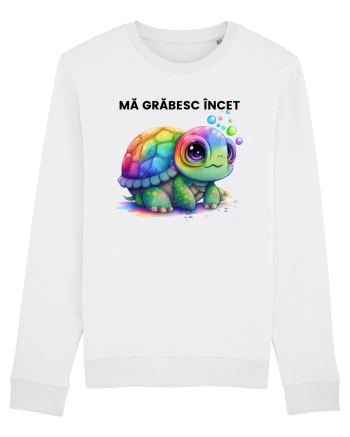 Broasca testoasa pictata in acuarela cu mesajul Ma grabesc Incet White