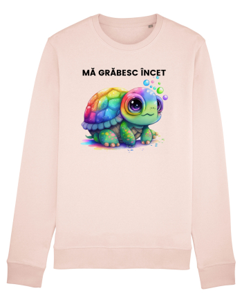 Broasca testoasa pictata in acuarela cu mesajul Ma grabesc Incet Candy Pink