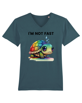 Broasca testoasa pictata in acuarela cu mesajul I'm not fast Stargazer